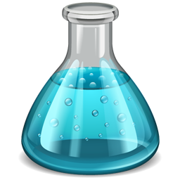 Web Application