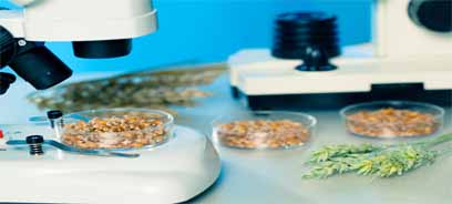 food laboratory