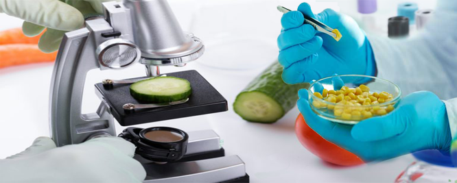 Food testing